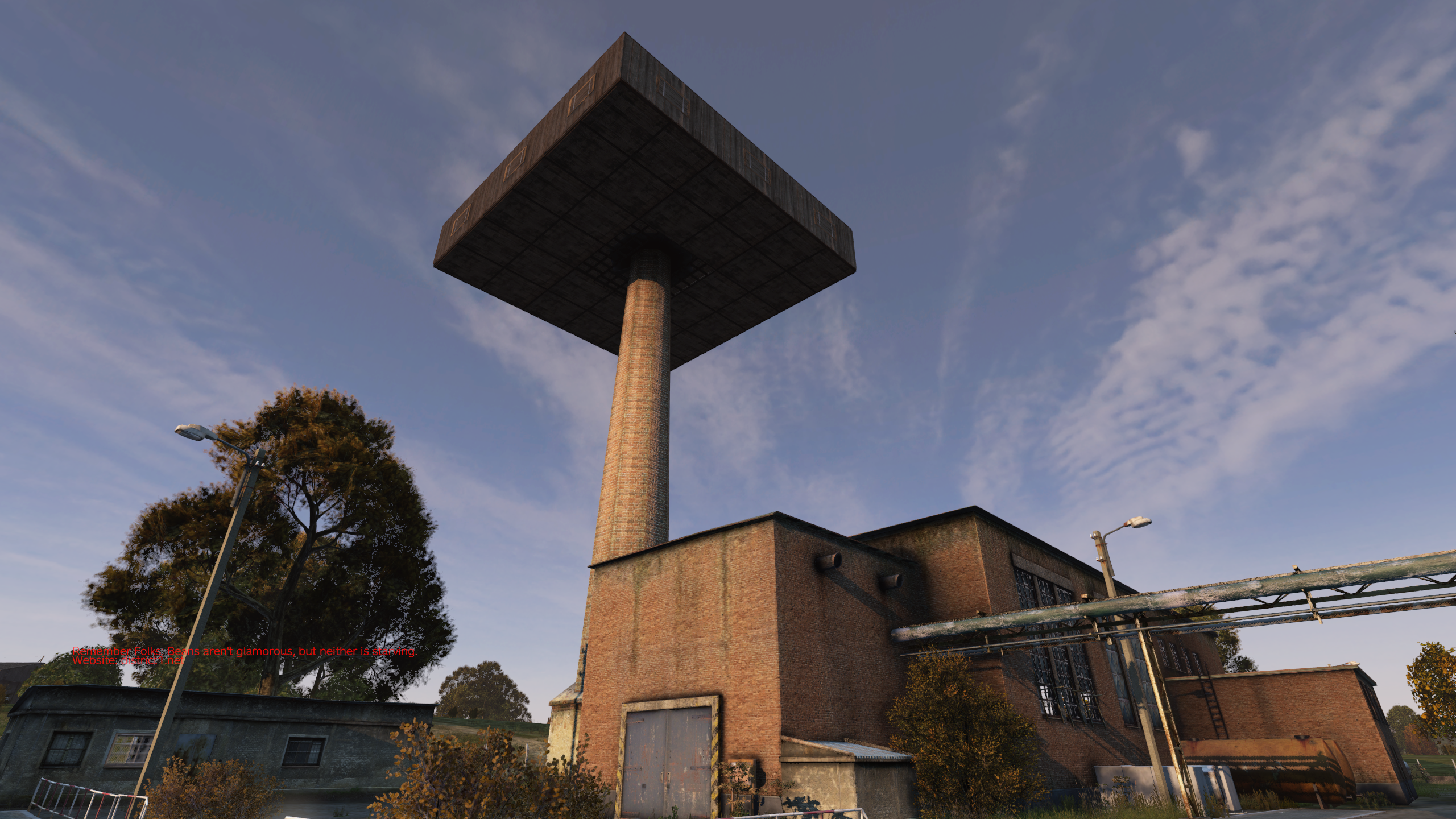 Free Base The Mushroom